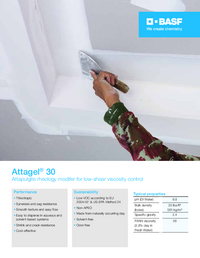 Thumbnail of document Value card - ATTAGEL® 30