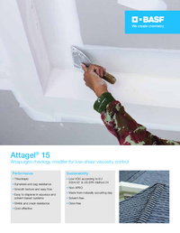 Thumbnail of document Value card - ATTAGEL® 15